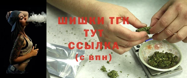 тгк Няндома