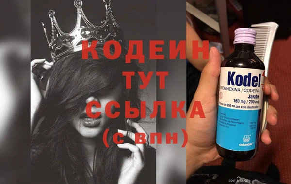 тгк Няндома