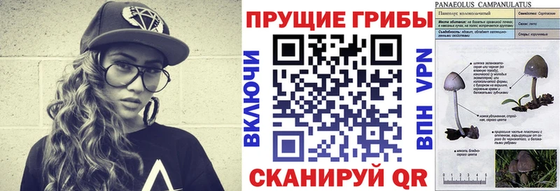 МЕГА   Лакинск  Галлюциногенные грибы Magic Shrooms 